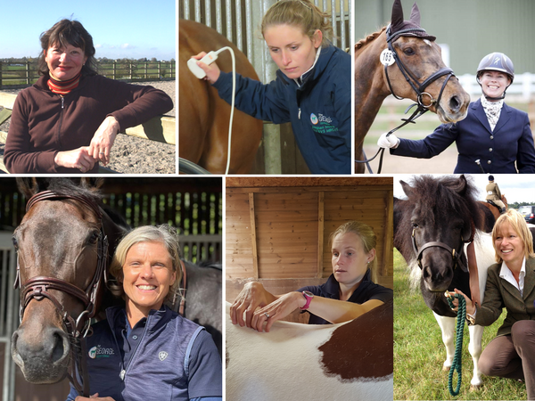 Our Equine Clinic Vets